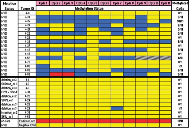 【佳学基因检测】基因检测透明细胞肾肿瘤中 von Hippel-Lindau 基因改变方法的改进